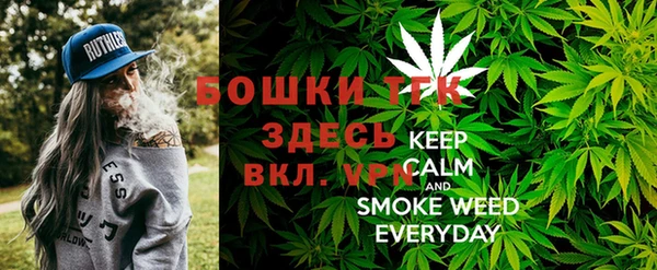 ECSTASY Алексин
