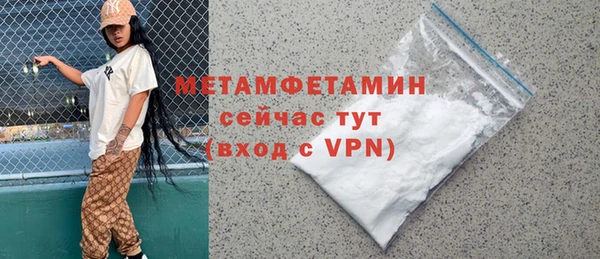 индика Няндома