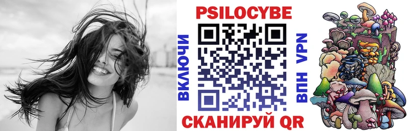 где найти   Ивантеевка  Псилоцибиновые грибы GOLDEN TEACHER 
